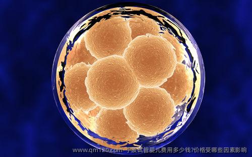宁波试管婴儿费用多少钱?价格受哪些因素影响