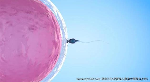 西安三代试管婴儿费用大概要多少钱?