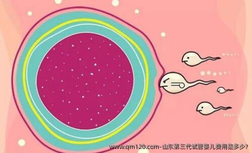 山东第三代试管婴儿费用是多少?