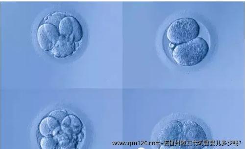 去福州做三代试管婴儿多少钱?