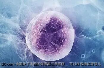 国内除了华西还有哪家三甲医院     可以在做精试管婴儿