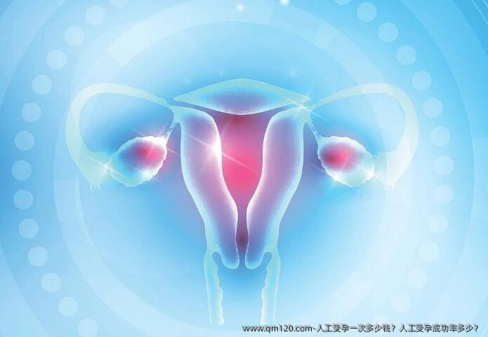 人工受孕一次多少钱？人工受孕成功率多少？