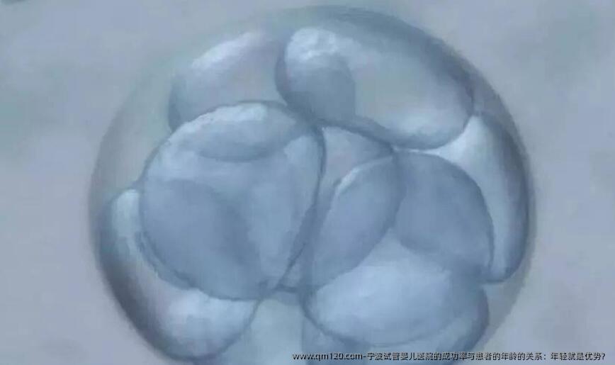 宁波试管婴儿医院的成功率与患者的年龄的关系：年轻就是优势？