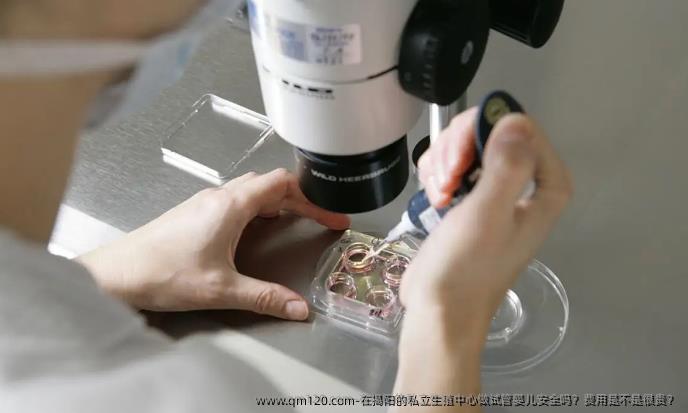 在揭阳的私立生殖中心做试管婴儿安全吗？费用是不是很贵？