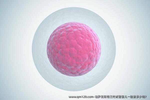 哈萨克斯坦三代试管婴儿一般要多少钱？