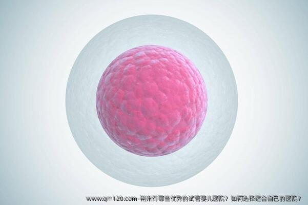 荆州有哪些优秀的试管婴儿医院？如何选择适合自己的医院？