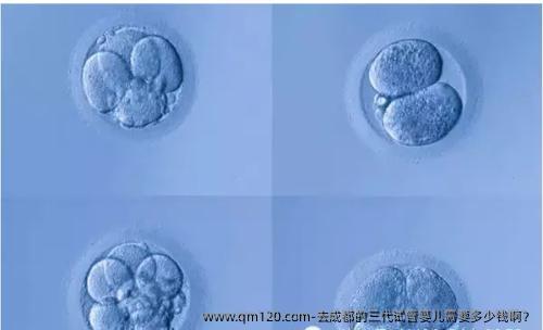 去成都的三代试管婴儿需要多少钱啊？