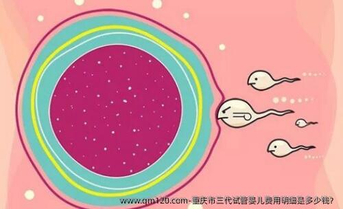 重庆市三代试管婴儿费用明细是多少钱？