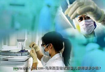 马来西亚做试管婴儿费用要多少钱？
