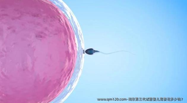 南京第三代试管婴儿需要花多少钱？