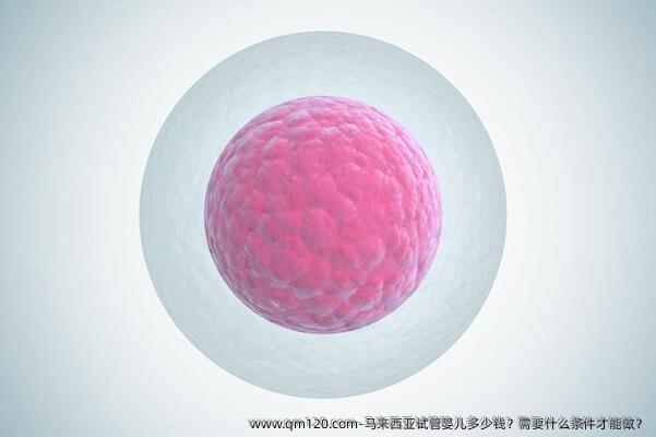 马来西亚试管婴儿多少钱？需要什么条件才能做？
