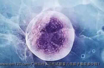 广州玩什么三代试管婴儿生孩子要花多少钱？