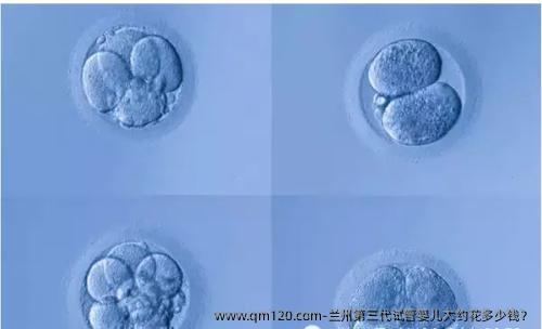 兰州第三代试管婴儿大约花多少钱？