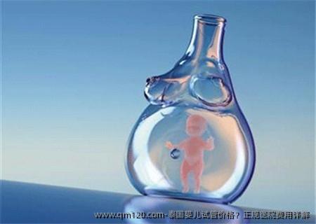 泰国婴儿试管价格？正规医院费用详解
