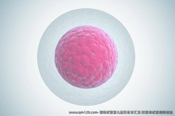 昆明试管婴儿医院名单汇总 附昆明试管费用明细
