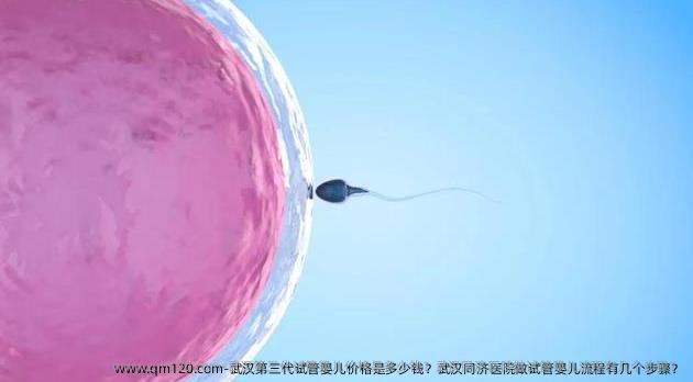 武汉第三代试管婴儿价格是多少钱？武汉同济医院做试管婴儿流程有几个步骤？