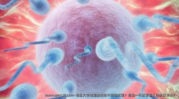 青岛大学附属医院能不能做试管？青岛一代试管婴儿价格是多少？