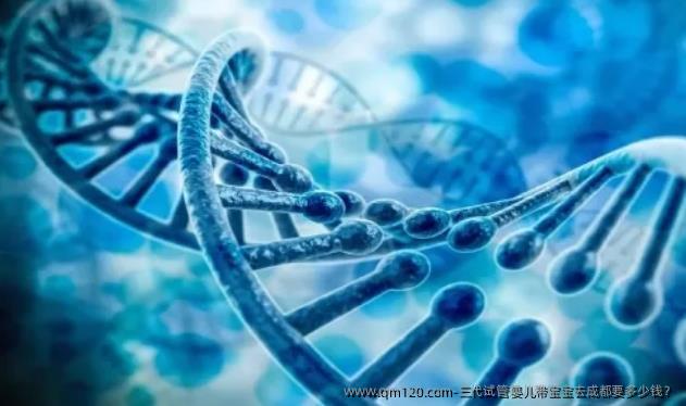 三代试管婴儿带宝宝去成都要多少钱?