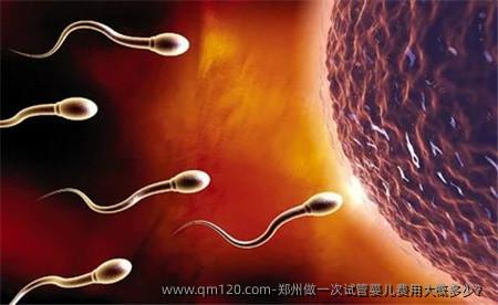 郑州做一次试管婴儿费用大概多少？