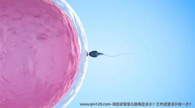 南昌试管婴儿费用是多少？三代试管多少钱一次？