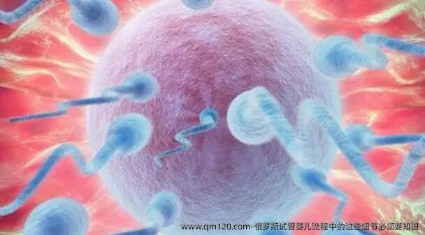 俄罗斯试管婴儿流程中的这些细节必须要知道