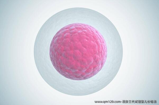 西安三代试管婴儿价格表