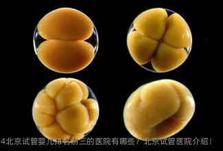 2024北京试管婴儿排名前三的医院有哪些？北京试管医院介绍！