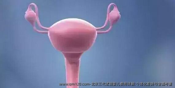 北京三代试管婴儿费用详解:个体化差异与全面考量