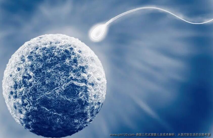 泰国三代试管婴儿全成本解析：从医疗到生活的全面考量