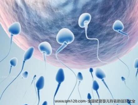 国内试管婴儿有名的医院大全