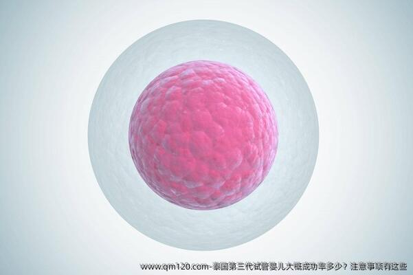 泰国第三代试管婴儿大概成功率多少？注意事项有这些