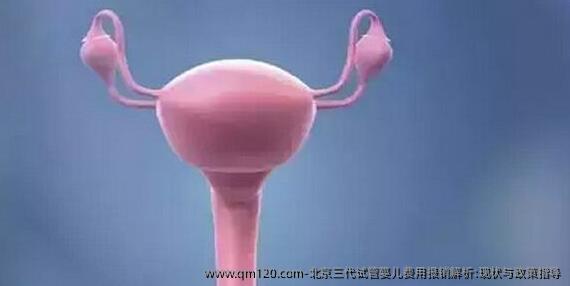 北京三代试管婴儿费用报销解析:现状与**指导