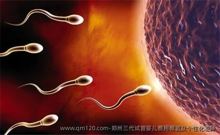 郑州三代试管婴儿费用概览及个性化差异