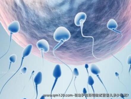 在哈萨克斯坦做试管婴儿多少钱呢?