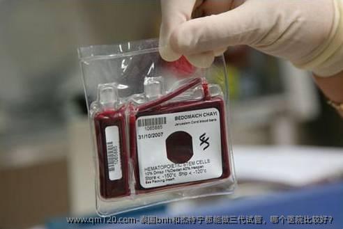泰国bnh和杰特宁都能做三代试管，哪个医院比较好？