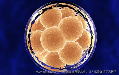 在泰国做试管婴儿多少钱？花费详情是怎样的