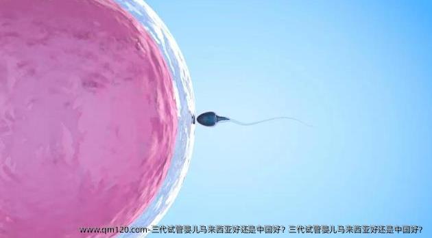 三代试管婴儿马来西亚好还是国内好？三代试管婴儿马来西亚好还是国内好？