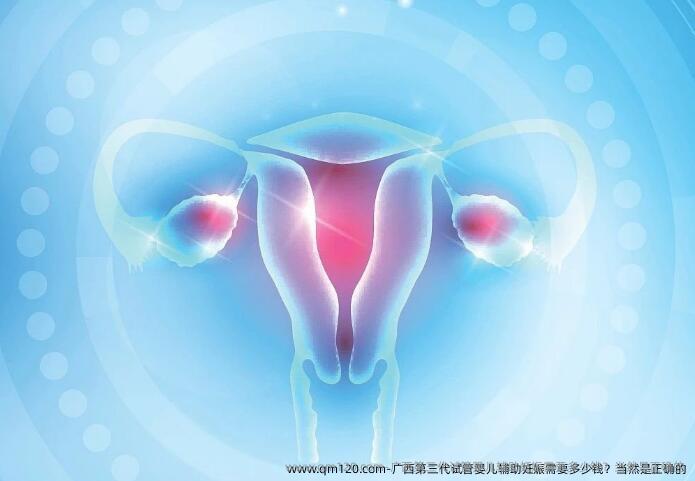 广西第三代试管婴儿辅助妊娠需要多少钱？当然是正确的