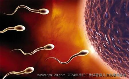 2024年宿迁三代试管婴儿三代费用参考