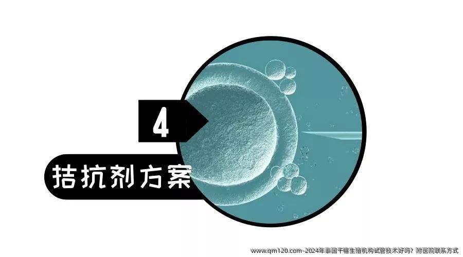 2024年泰国千禧生殖机构试管技术好吗？附医院联系方式