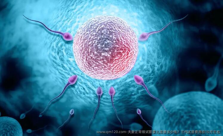 夫妻正常做试管婴儿需要多少钱？三代试管费用在10万左右