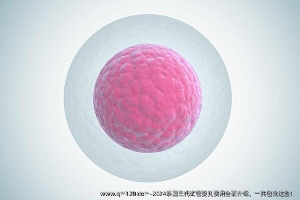 2024泰国三代试管婴儿费用全面介绍，一共包含这些！