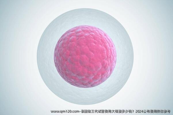 泰国做三代试管费用大概要多少钱？2024公布费用供你参考