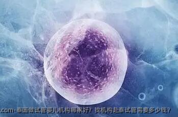 泰国做试管婴儿机构哪家好？找机构赴泰试管需要多少钱？