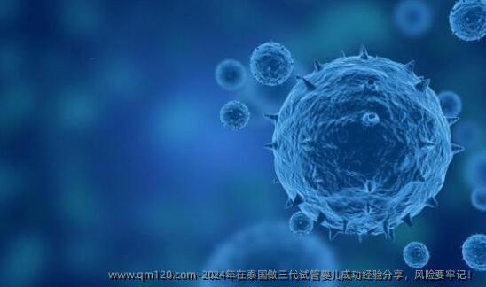 2024年在泰国做三代试管婴儿成功经验分享，风险要牢记！