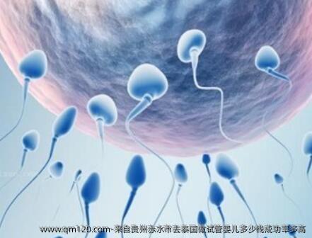 来自贵州赤水市去泰国做试管婴儿多少钱成功率多高