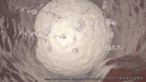 泰国做第三代试管婴儿成功率是多少？影响成功因素解读