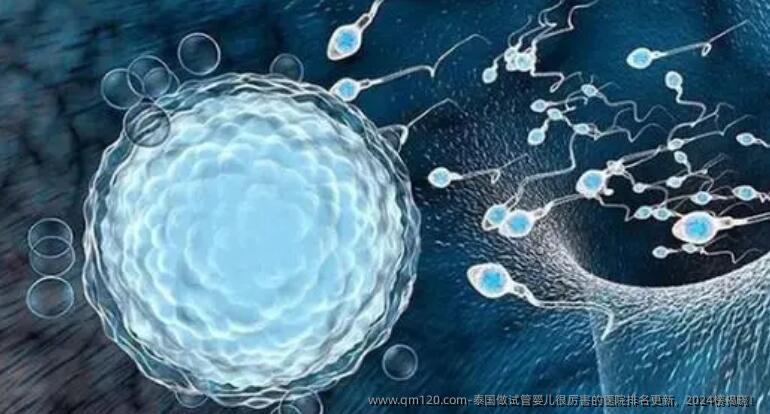 泰国做试管婴儿很厉害的医院排名更新，2024榜揭晓！
