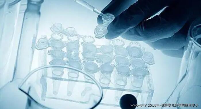 试管婴儿怀孕的概率多少