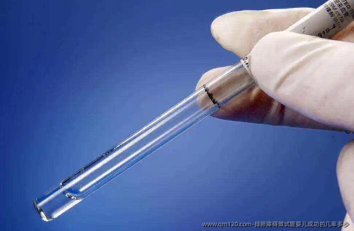 排卵障碍做试管婴儿成功的几率多少